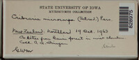 Image Associated With the Occurence